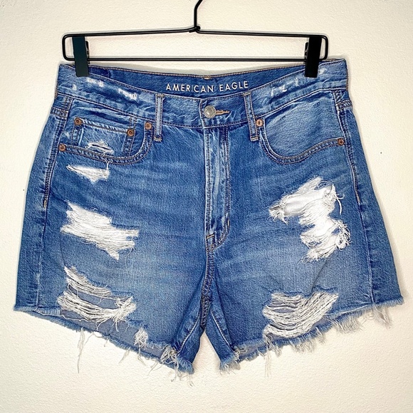 American Eagle Outfitters Pants - American Eagle Outfitters - 90's Boyfriend Short - Heavily Distressed Size 6